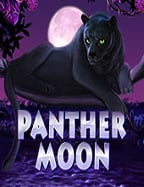 slot ค่าย play n go สุดมันส์ที่ต้องลอง