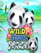 สูตร บา คา ร่า 188bet: เคล็ดลับชนะในเกมได้จริงหรือไม่?